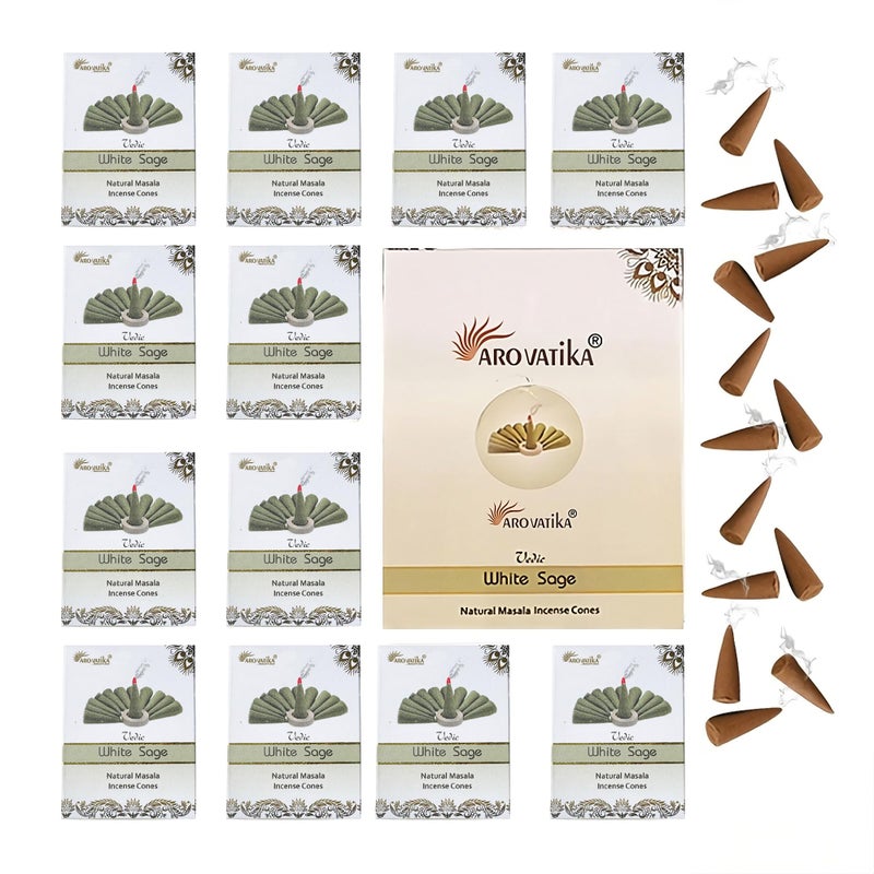 ARO VATIKA Vedic Natural Masala 120 Incense Cones in Pack of 12 Boxes |12 Assorted Fragrances Dhoop Cones | Best for Prayer, Reiki, Meditation and Relaxation | Burn time- 25 Mins (White Sage) - Image 1